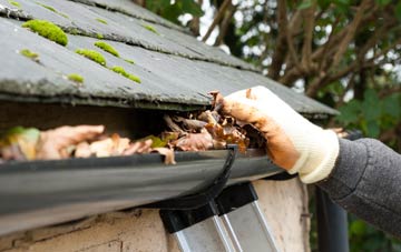 gutter cleaning County Durham
